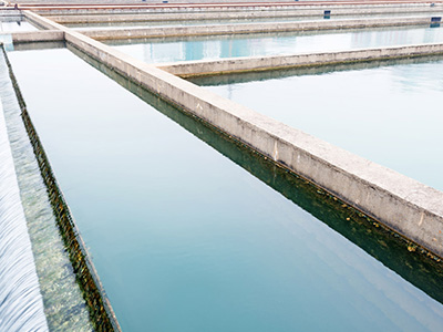 工業廢水處理技術總共有哪些